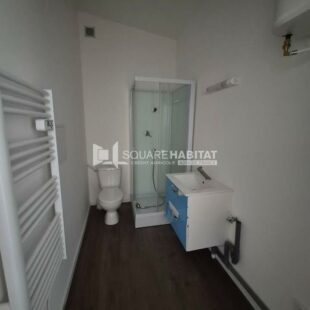 Location maison à Sallaumines