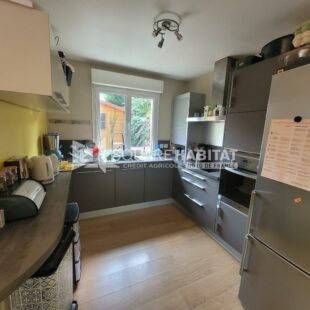 Location maison à Faches-Thumesnil