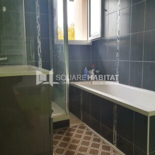 Location maison à Faches-Thumesnil