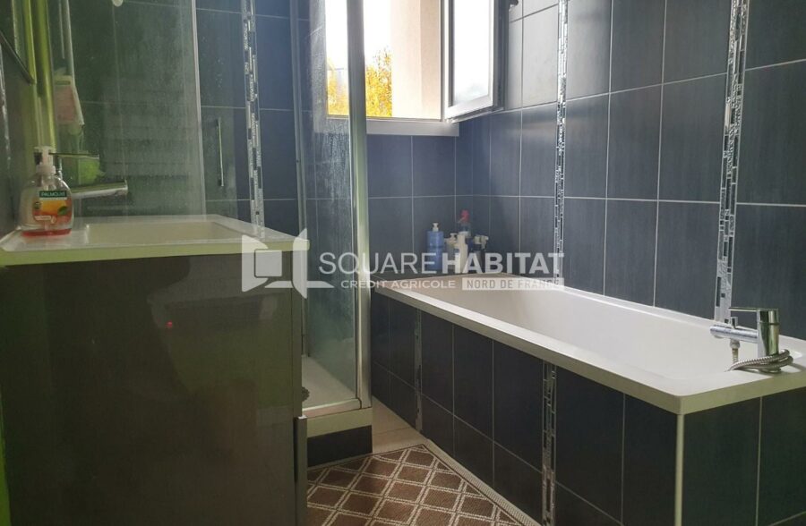 Location maison à Faches-Thumesnil