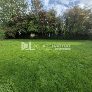 Location maison à Ardres