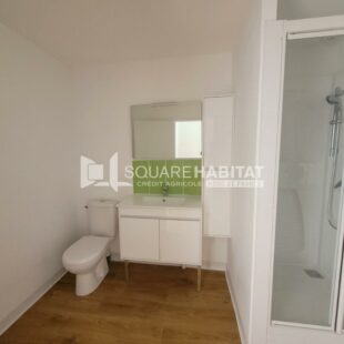 Location maison à Lille