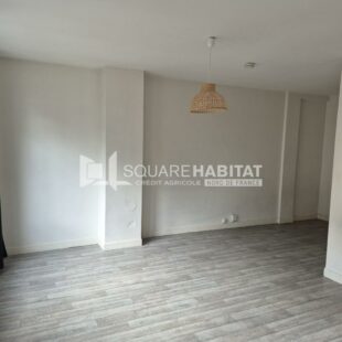 Location appartement à Lille