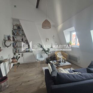 Location appartement meublé à Lille