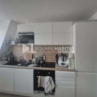 Location appartement meublé à Lille