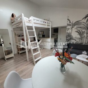 Location appartement meublé à Lille