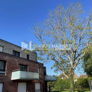 Location appartement à Nieppe