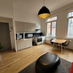 Location appartement meublé à Lille
