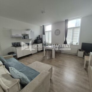 Location appartement à Hasnon