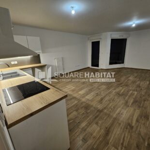 Location appartement à Lille