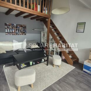 Location appartement meublé à Lille