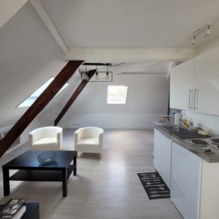 Location appartement meublé à Lille