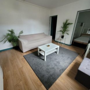 Location appartement meublé à Lille