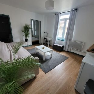 Location appartement meublé à Lille