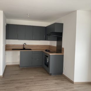 Location appartement à Lille