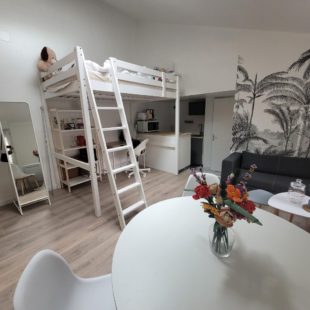 Location appartement meublé à Lille