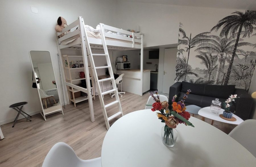 Location appartement meublé à Lille