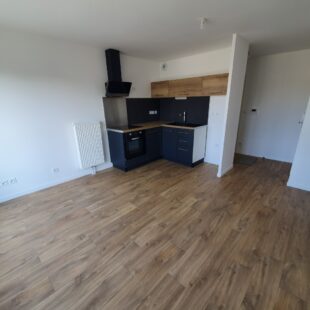 Location appartement à Loos