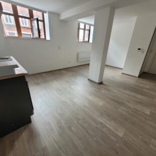 Location appartement à Lille