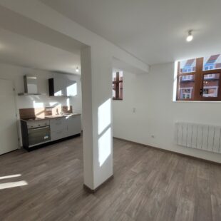 Location appartement à Lille