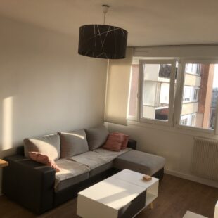 Location appartement meublé à Lille