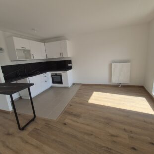 Location appartement à Loos