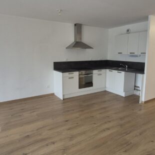 Location appartement à Lille