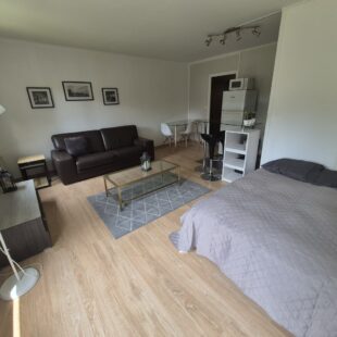 Location appartement meublé à Faches-Thumesnil