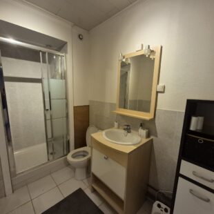 Location appartement meublé à Faches-Thumesnil