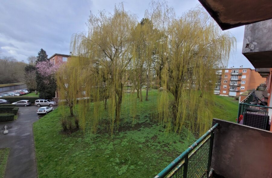 Location appartement à Rousies
