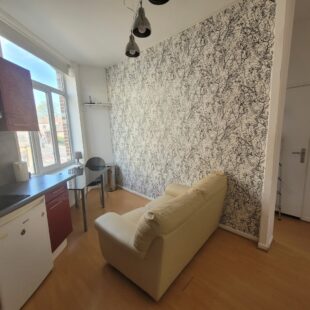 Location appartement meublé à Lille