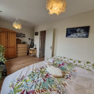 Location maison à Villeneuve-D’ascq