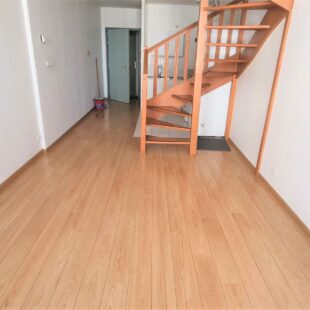 Location appartement à Lille