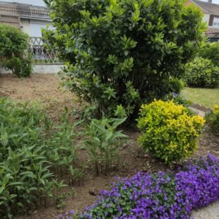 Location maison à Courrières