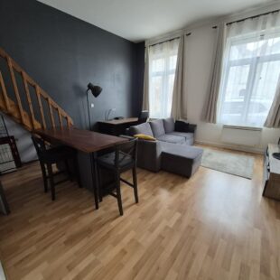 Location appartement meublé à Lille