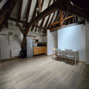 Location appartement meublé à Lille