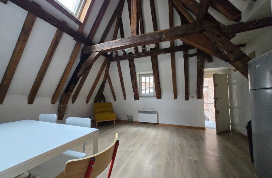 Location appartement meublé à Lille