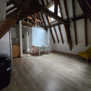 Location appartement meublé à Lille