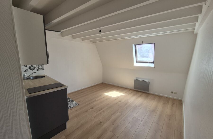 Location appartement à Lille