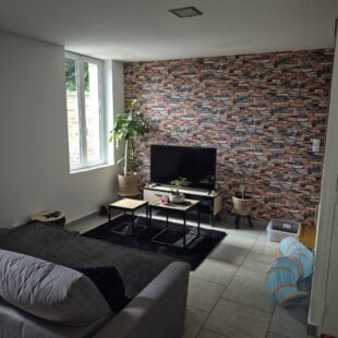 Location maison à Sin-Le-Noble