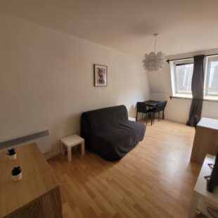 Location appartement meublé à Lille