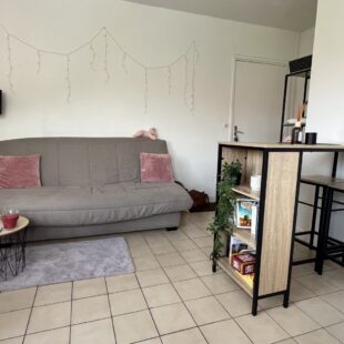 Location appartement à Lille