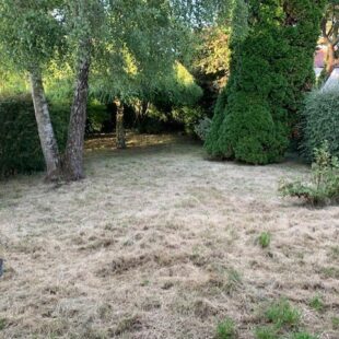 Location maison à Auchel