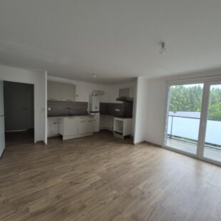 Location appartement à Lille