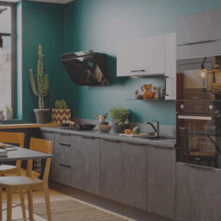 Location appartement à Faches-Thumesnil