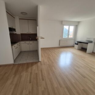 Location appartement à Loos