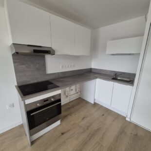 Location appartement à Faches-Thumesnil