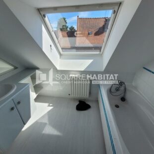 Location maison à Herlies