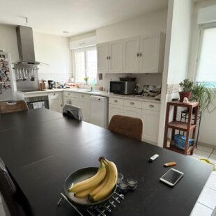 Location maison à Sallaumines