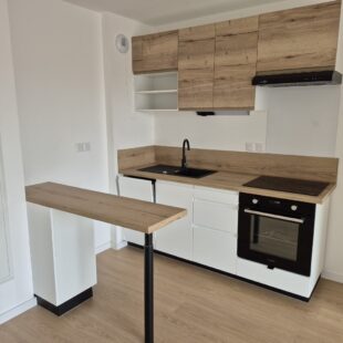 Location appartement à Loos
